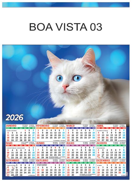 Boa Vista 3