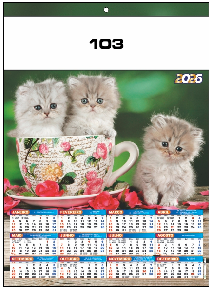 Ref.: 103