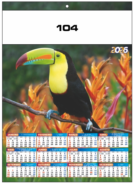 Ref.: 104