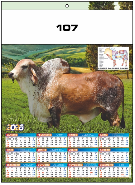 Ref.: 107