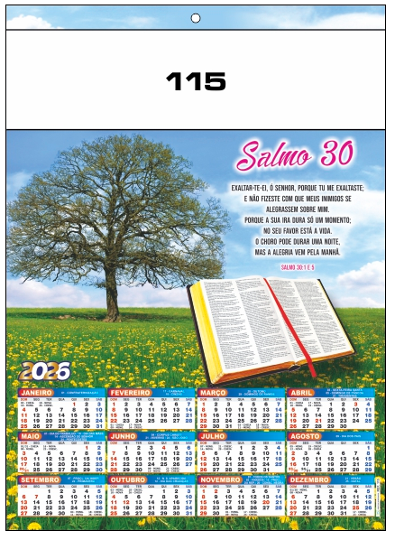 Ref.: 115