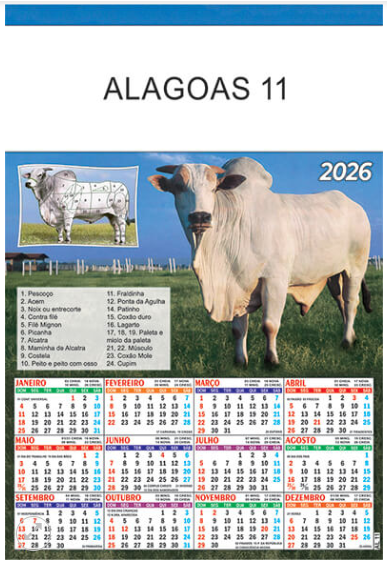 Alagoas 11